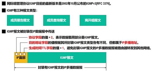 计算机网络——网络层 信息技术研发的核心支柱