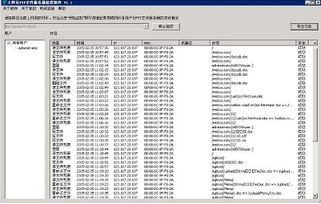 计算机网络管理软件解析 排名、选择与免费方案